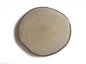 Plaster drewna Brzoza szlifowana 12-14 cm / 1 cm 