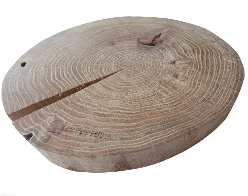 Plaster drewna Dąb bez kory OLEJOWANY szlifowany 30-35 cm / 3 cm z pęknięciem
