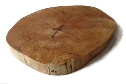 Brzoza bez kory OLEJOWANA szlifowana 30-35 cm / 3cm