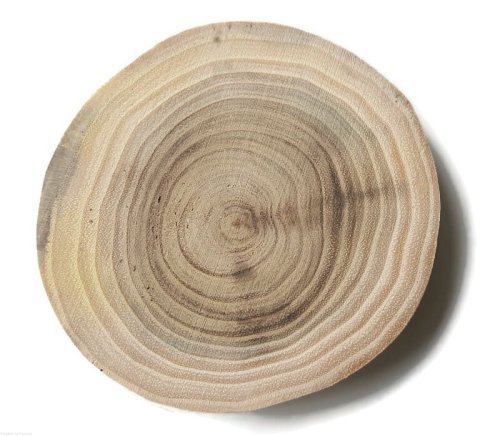 Plaster drewna Akacja szlifowana 8-10 cm / 1 cm -  bez kory