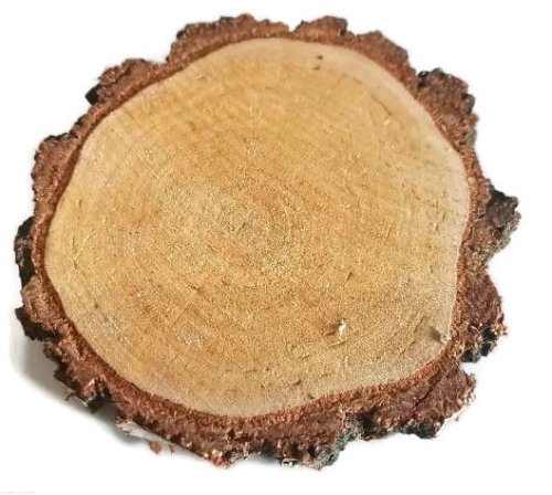 Plaster drewna Brzoza nieszlifowana gruba kora 12-14 cm / 2 cm