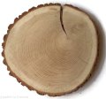 Dąb szlifowany 28-33 cm / 2,5 cm z ubytkami kory, z pęknięciem
