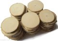 Plaster drewna Brzoza zestaw 50 szt szlifowane krążki EKO 8-10 / 1 cm