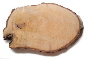 Plaster drewna Brzoza nieszlifowana 15-20 / 2 cm Nieregularne kształty