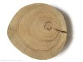 Plaster drewna Dąb BEZ KORY szlifowany 8-12 cm / 1 cm z pęknięciem