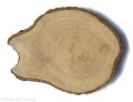 Dąb szlifowany 15-20 cm / 2 cm podłużne nieregularne kształty