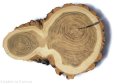 Akacja szlifowana 20-25cm / 2 cm podłużne nieregularne kształty