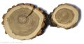 Akacja szlifowana 20-25cm / 2 cm podłużne nieregularne kształty