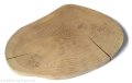 Dąb szlifowany 25-40 cm / 3 cm BEZ KORY podłużne nieregularne kształty