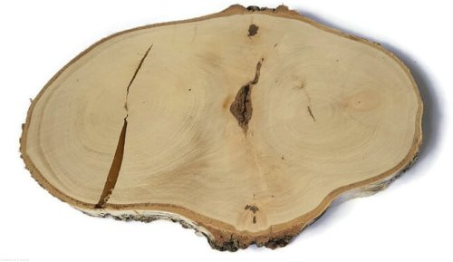 Plaster drewna Brzoza nieszlifowana 25-35 cm / 2 cm Nieregularne kształty