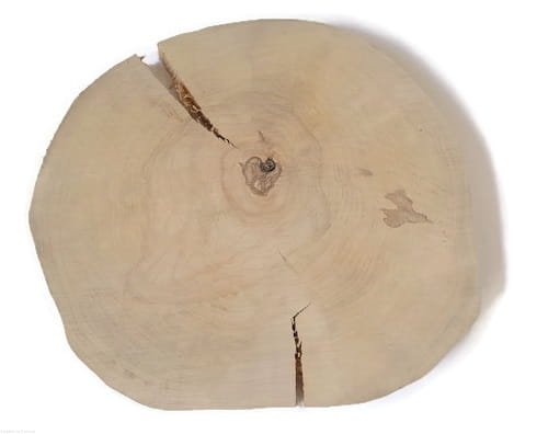 Plaster drewna Brzoza z pęknięciem pod tort  36 - 42 cm