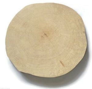 Plaster drewna Brzoza szlifowana 45-50 cm / 5 cm -  bez kory