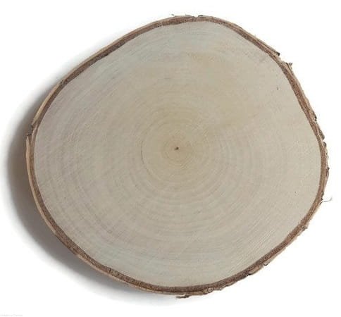Plaster drewna Brzoza szlifowana 28 - 30 cm / 2,5 cm plastry drewna JASNE PLASTRY pod nadruk / laser