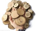 Plastry drewna miks gatunków nieszlifowane 5-8 cm / 1 cm ZESTAW 50 szt - II gatunek