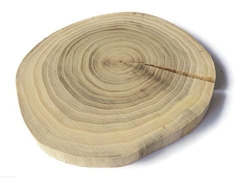 Plaster drewna Akacja szlifowana 8-12 cm / 1 cm -  bez kory, z pęknięciem