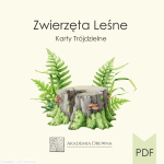 Karty trójdzielne zwierzęta LEŚNE - produkt cyfrowy do wydruku