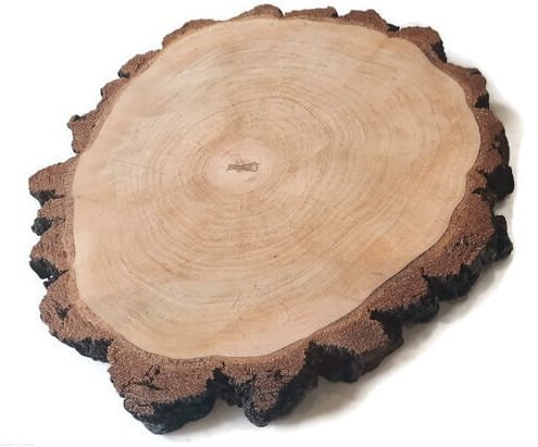 Plaster drewna Brzoza OLEJOWANA szlifowana 35-40 cm / 2,5 cm