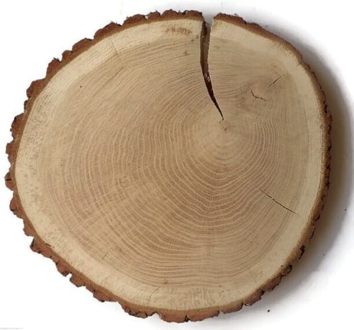 Dąb szlifowany 33-36 cm / 2,5 cm z ubytkami kory, z pęknięciem
