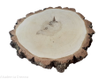 Brzoza szlifowana 40-45 cm / 4,8 cm