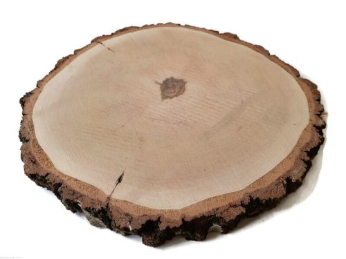 Brzoza szlifowana 40-45 cm / 4,8 cm