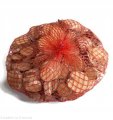 Plaster drewna Brzoza nieszlifowana Zestaw 40 szt 4-6 cm / 1 cm