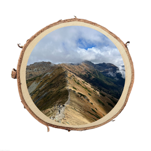 Plaster drewna ze zdjęciem ZDJĘCIE na drewnie nadruk UV kolorowy 20-25 / 2 cm