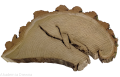 Plaster drewna Akacja kawałki 25-30 cm nieszlifowane żywica