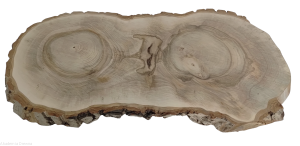 Plaster drewna Orzech włoski szlifowany 25-60 cm / 3,5 cm