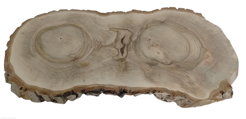 Plaster drewna Orzech włoski szlifowany 25-60 cm / 3,5 cm