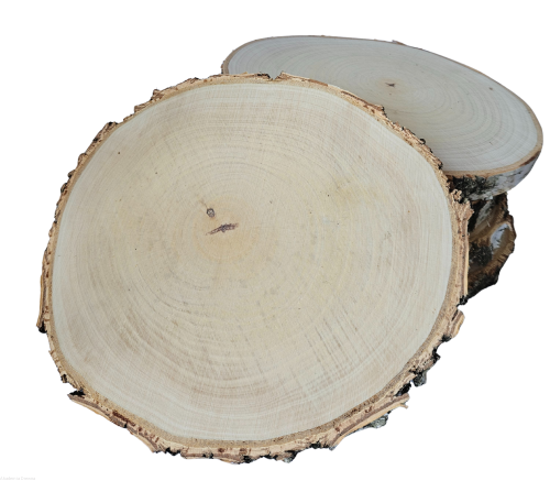 Plaster drewna 20-25 cm brzoza szlifowana zestaw 5 sztuk