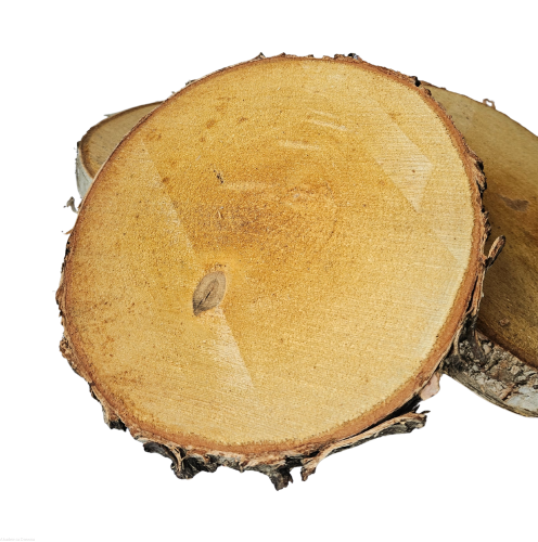 Plaster drewna 20-25 cm brzoza nieszlifowana zestaw 5 sztuk