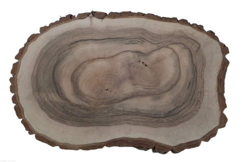 Plaster drewna Orzech włoski szlifowany 35-50 cm / 3,5 cm