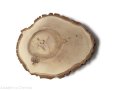 Plaster drewna Orzech włoski szlifowany 17-20 cm / 2 cm 