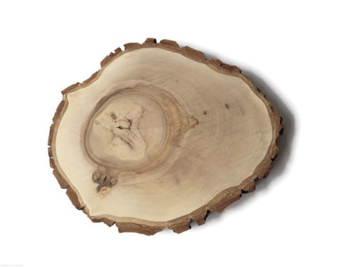 Plaster drewna Orzech włoski szlifowany 17-20 cm / 2 cm 