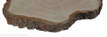 Plaster drewna Brzoza szlifowana 48-53 cm / 5 cm  UNIKAT