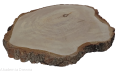 Plaster drewna Brzoza szlifowana 48-53 cm / 5 cm  UNIKAT
