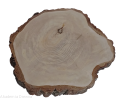 Plaster drewna Brzoza szlifowana 48-53 cm / 5 cm  UNIKAT
