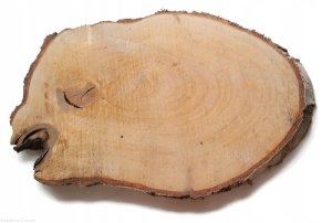 Plaster drewna Brzoza nieszlifowana 35-40 cm / 2,5 cm podłużne nieregularne kształty