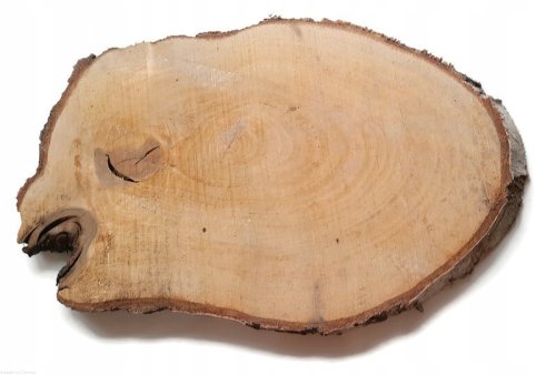 Plaster drewna Brzoza nieszlifowana 35-40 cm / 2,5 cm podłużne nieregularne kształty