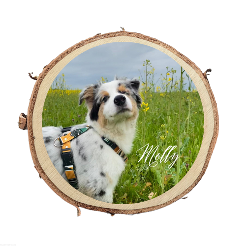 Plaster drewna ze zdjęciem ZDJĘCIE na drewnie nadruk UV kolorowy 25-28 cm / 2 cm