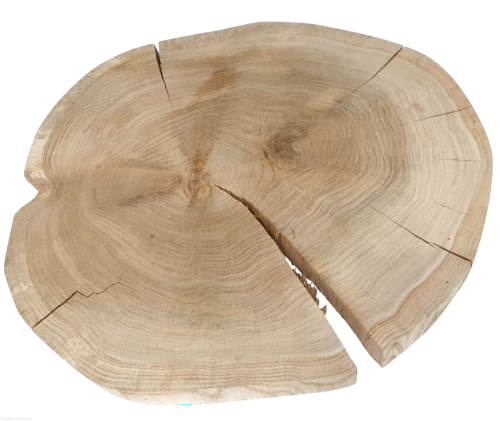 Plaster drewna dąb bez kory 50-55 / 5 cm