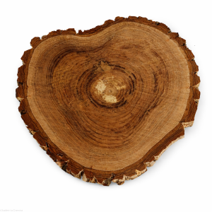 Plaster drewna Orzech OLEJOWANY szlifowany 28-32 / 2 cm