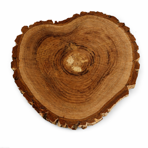 Plaster drewna Orzech OLEJOWANY szlifowany 28-32 / 2 cm