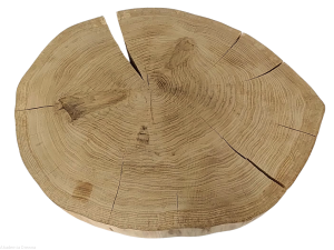 Plaster drewna Dąb szlifowany 53-66 cm / 5 cm  UNIKAT