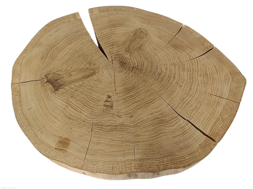 Plaster drewna Dąb szlifowany 53-66 cm / 5 cm  UNIKAT