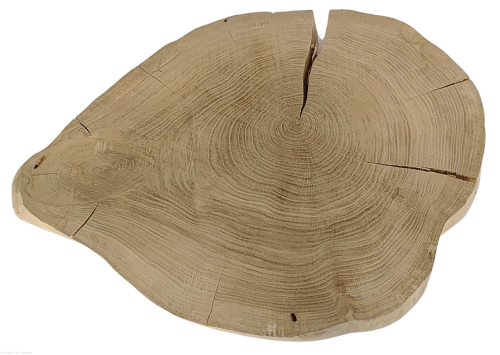 Plaster drewna Dąb szlifowany 49-63 cm / 5 cm  UNIKAT