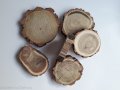 Plaster drewna Akacja nieszlifowana 6-14 cm / 2 cm z ubytkami kory, z pęknięciem