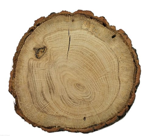 Plaster drewna Dąb szlifowany 17-20 cm / 2 cm