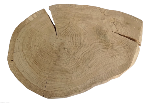 Plaster drewna Dąb szlifowany 51-76 cm / 5 cm  UNIKAT