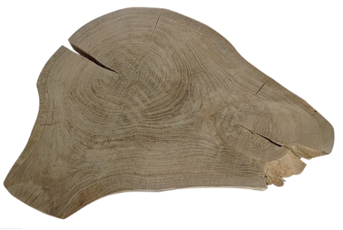 Plaster drewna Dąb szlifowany 46-63 cm / 5 cm  UNIKAT